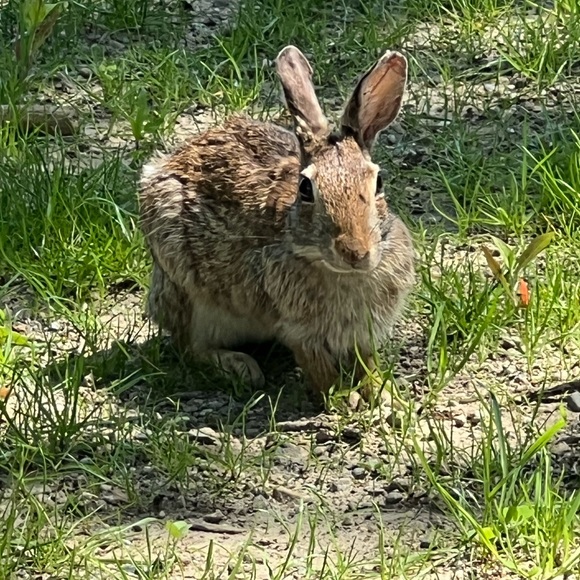 Meet your Posher, Jennifer - Picture 2 of 2